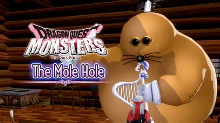 Dragon Quest Monsters: The Dark Prince, The Mole & Hole All Levels Explained - SarkariResult