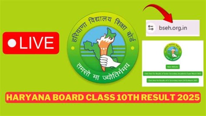 Haryana Board Result 2022 Live Sarkari Result BSEH 10th/12th Results 2022