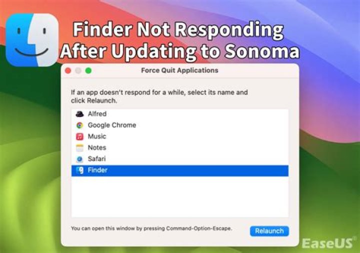 How to Fix / Solve: MacOS Sonoma Finder Not Responding, Lagging, Or Slow - SarkariResult