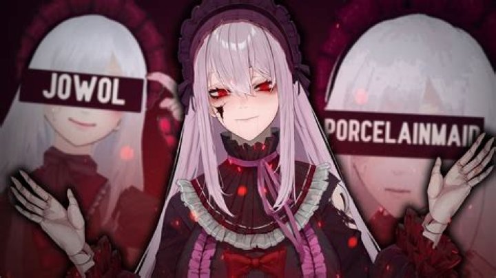 Porcelainmaid Face Reveal 2024: Wikipedia And Age, Is PorcelainMaid a guy? - SarkariResult