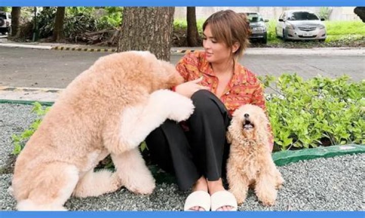 Sofia Andres mourns Death of her Beloved Dog, Talia