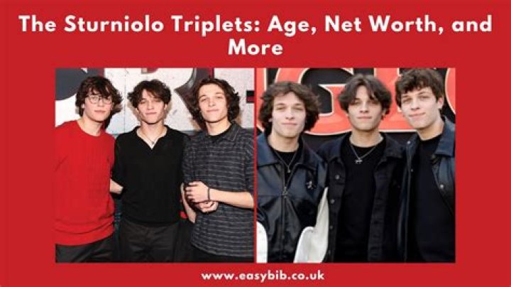 Sturniolo Triplets net worth, income and estimated earnings of Youtuber channel