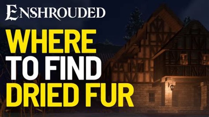 Where To Get & Find Dried Fur In Enshrouded? - SarkariResult