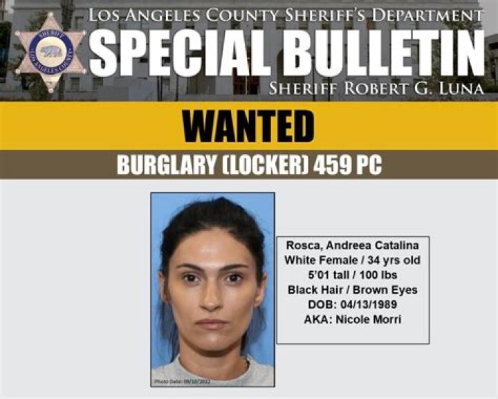 Who is Andreea Catalina Rosca? Suspect Named in Theft of Lily Collins' Belongings - SarkariResult