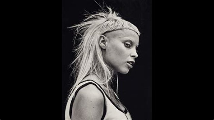 Yolandi Visser Dating, Boyfriend, Daughter, Married, Net worth, Wiki